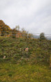 /album/podzimni-toulani/pt-20-10-2026-18-jpg/